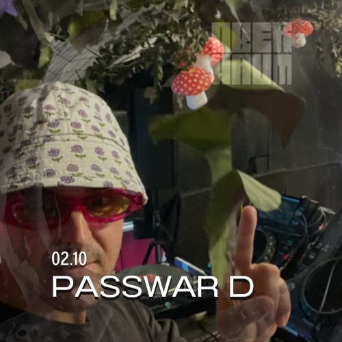 Passwar D on the OBERHAUM x Doodle artwork