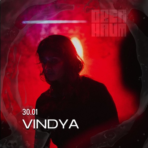 Vindya OBERHAUM x RE:CODE on the OBERHAUM artwork